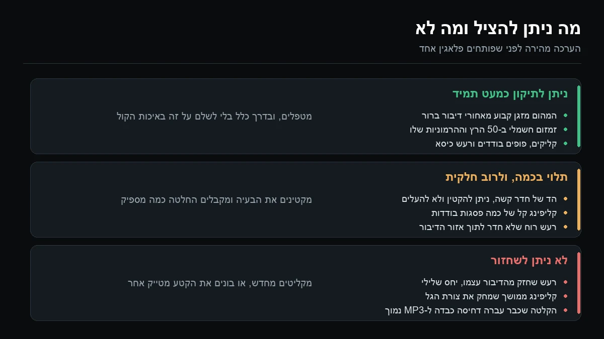 טבלה של מה ניתן להציל בהקלטה רועשת: זמזום וקליקים ניתנים לתיקון, הד ניתן להקטנה, ורעש חזק מהדיבור אינו ניתן לשחזור