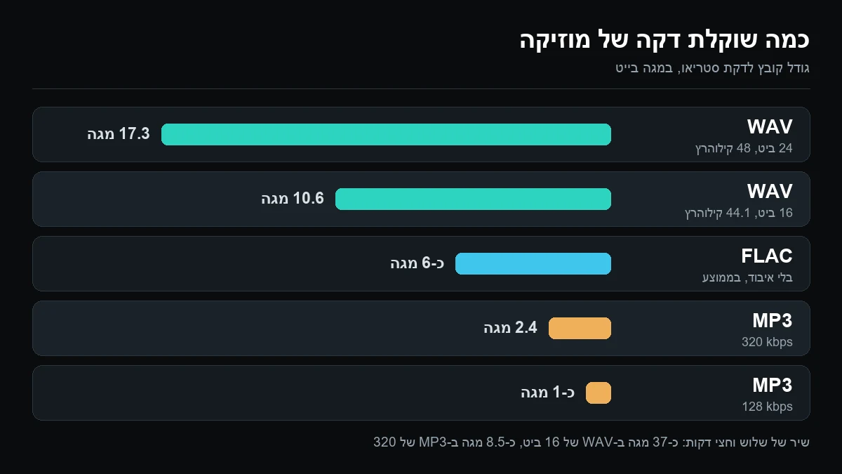 גרף עמודות של גודל קובץ אודיו לדקת סטריאו: WAV ב-24 ביט כ-17 מגה, WAV ב-16 ביט כ-10.6 מגה, FLAC כ-6 מגה, MP3 ב-320 kbps 2.4 מגה ו-MP3 ב-128 kbps כמגה אחד