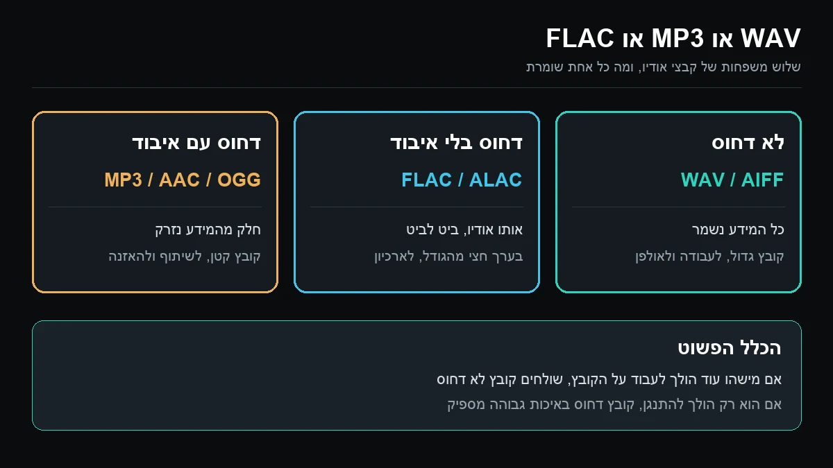 תרשים של שלוש משפחות פורמטי האודיו: קבצים לא דחוסים כמו WAV ו-AIFF, דחוסים בלי איבוד כמו FLAC ו-ALAC, ודחוסים עם איבוד כמו MP3 ו-AAC